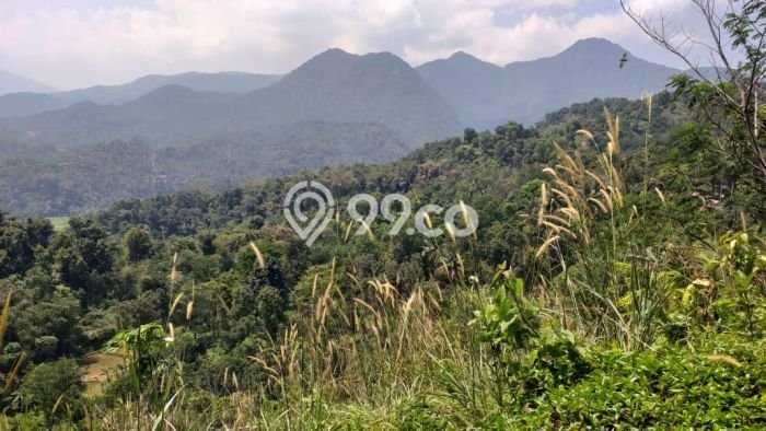 Tanah Kosong Dijual di Bogor dengan Area 90000m2 Tanah Kosong Dijual di Bogor dengan Area 90000m2
