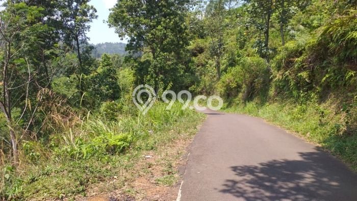 Tanah Kosong Dijual di Bogor dengan Area 90000m2 Tanah Kosong Dijual di Bogor dengan Area 90000m2