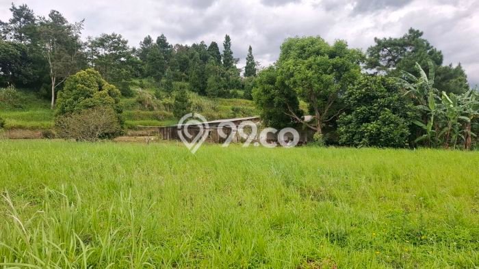 Jarang Ada! Tanah di Caringin Punya Luas 22000m2 SHM Jarang Ada! Tanah di Caringin Punya Luas 22000m2 SHM