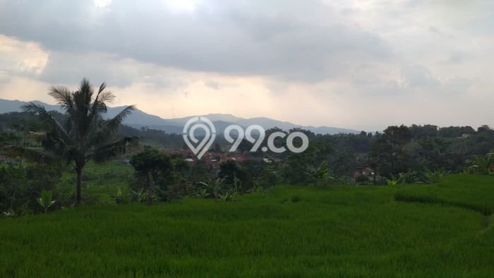 LOKASI STRATEGIS! Tanah di Pamijahan, Luas 1500m2m², Area Nyaman, Cocok untuk Investasi LOKASI STRATEGIS! Tanah di Pamijahan, Luas 1500m2m², Area Nyaman, Cocok untuk Investasi