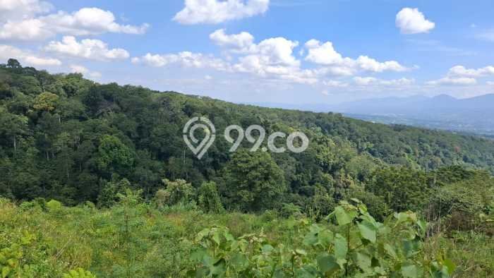 Tanah Komersial Dijual di Caringin Bogor 9000m2 Tanah Komersial Dijual di Caringin Bogor 9000m2