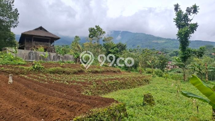 Jarang Ada! Tanah di Cigombong Punya Luas 1000m2 SHM Jarang Ada! Tanah di Cigombong Punya Luas 1000m2 SHM