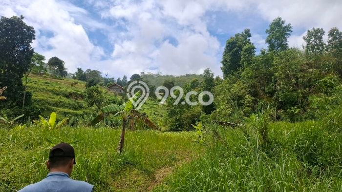 Tanah Kosong Dijual di Bogor dengan Area 6032m2 Tanah Kosong Dijual di Bogor dengan Area 6032m2