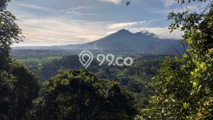 Lahan Investasi Lokasi Pamijahan Bogor - Lahan Investasi Lokasi Pamijahan Bogor -