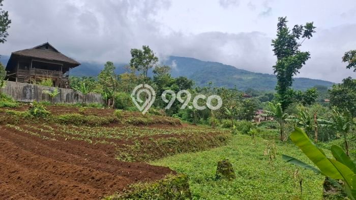 Jarang Ada! Tanah di Cigombong Punya Luas 1000m2 SHM Jarang Ada! Tanah di Cigombong Punya Luas 1000m2 SHM