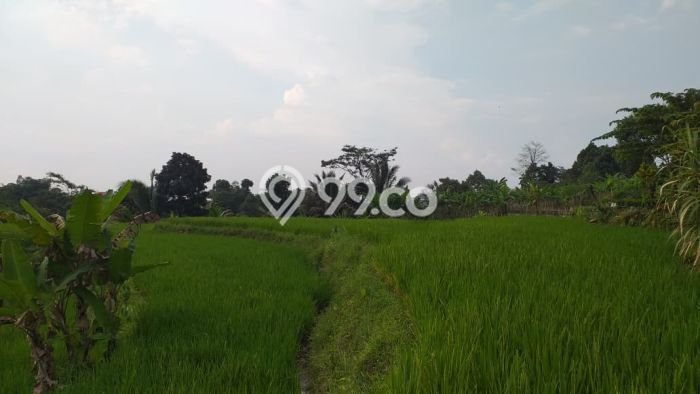 LOKASI STRATEGIS! Tanah di Pamijahan, Luas 1500m2m², Area Nyaman, Cocok untuk Investasi LOKASI STRATEGIS! Tanah di Pamijahan, Luas 1500m2m², Area Nyaman, Cocok untuk Investasi