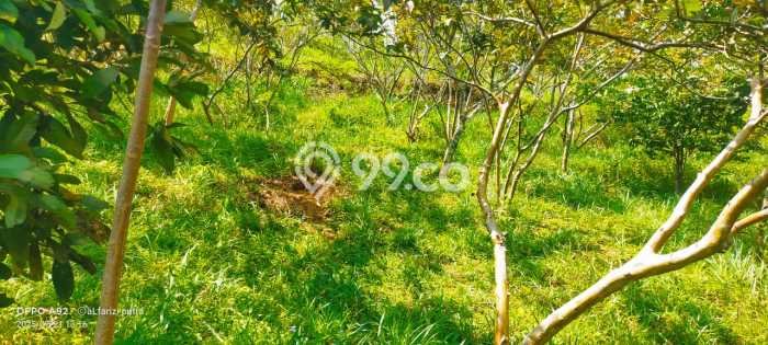 Tanah Komersial Dijual di Caringin Bogor 9000m2 Tanah Komersial Dijual di Caringin Bogor 9000m2