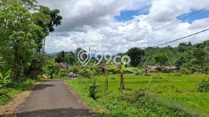 Tanah untuk Dijual di Pamijahan Bogor Luas 6000m2 Tanah untuk Dijual di Pamijahan Bogor Luas 6000m2