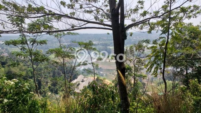 Tanah Kosong Dijual di Bogor dengan Area 90000m2 Tanah Kosong Dijual di Bogor dengan Area 90000m2