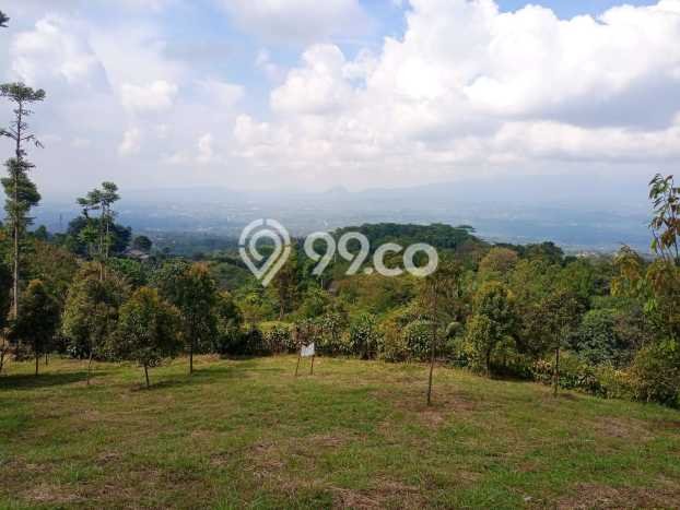 Tanah Dijual Lokasi Cijeruk Bogor - Tanah Dijual Lokasi Cijeruk Bogor -