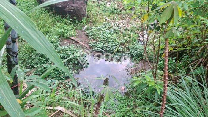 Lahan Investasi Lokasi Cigombong Bogor AJB Lahan Investasi Lokasi Cigombong Bogor AJB