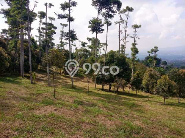 Tanah Dijual Lokasi Cijeruk Bogor - Tanah Dijual Lokasi Cijeruk Bogor -