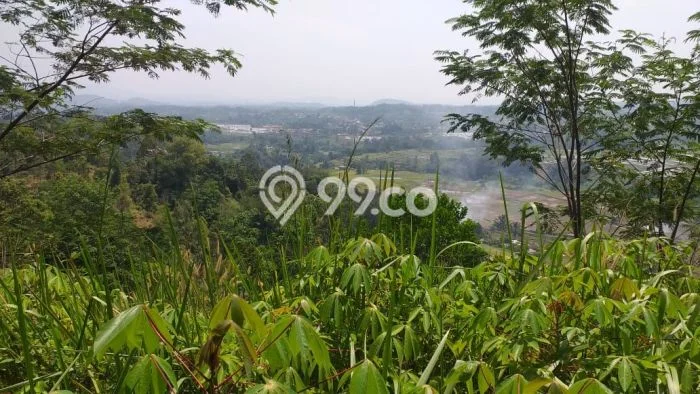 Tanah Kosong Dijual di Bogor dengan Area 90000m2 Tanah Kosong Dijual di Bogor dengan Area 90000m2