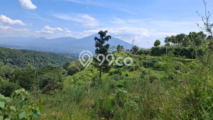Tanah Komersial Dijual di Caringin Bogor 9000m2 Tanah Komersial Dijual di Caringin Bogor 9000m2