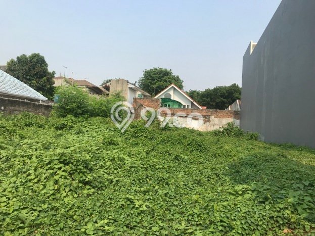 Best Deal Hunian Mewah Ideal dan Luas di Menteng, Jakarta Pusat Best Deal Hunian Mewah Ideal dan Luas di Menteng, Jakarta Pusat