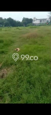 Lahan untuk Dijual Lokasi Balaraja, Tangerang Luas 13000m2 SHM Lahan untuk Dijual Lokasi Balaraja, Tangerang Luas 13000m2 SHM