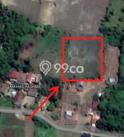 Tanah Kavling di Kramatwatu Dijual dengan Luas 985m2 Tanah Kavling di Kramatwatu Dijual dengan Luas 985m2