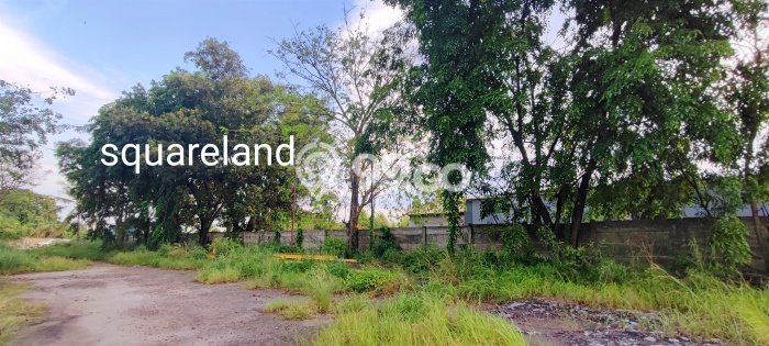 Dijual Tanah di Bojonegara Serang Luas 11585m2 SHM Dijual Tanah di Bojonegara Serang Luas 11585m2 SHM