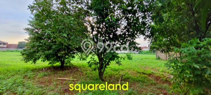 Lahan untuk Dijual di Legok Tangerang Luas 7968m2 Lahan untuk Dijual di Legok Tangerang Luas 7968m2