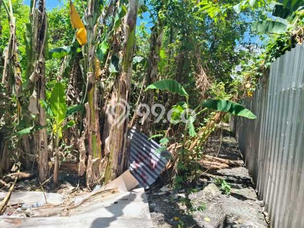 Tanah Kavling Dijual di Denpasar dengan Spesifikasi 1000m2 Tanah Kavling Dijual di Denpasar dengan Spesifikasi 1000m2