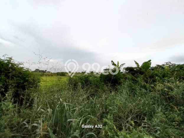 Unit Gudang Dijual di Bekasi LT 16000m2 & LB 2500m2 Unit Gudang Dijual di Bekasi LT 16000m2 & LB 2500m2