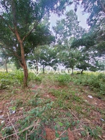Untuk Dijual Tanah di Bekasi, Luas 2500m2 PPJB Untuk Dijual Tanah di Bekasi, Luas 2500m2 PPJB