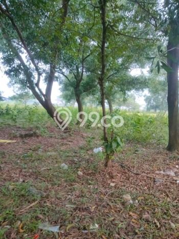 Untuk Dijual Tanah di Bekasi, Luas 2500m2 PPJB Untuk Dijual Tanah di Bekasi, Luas 2500m2 PPJB