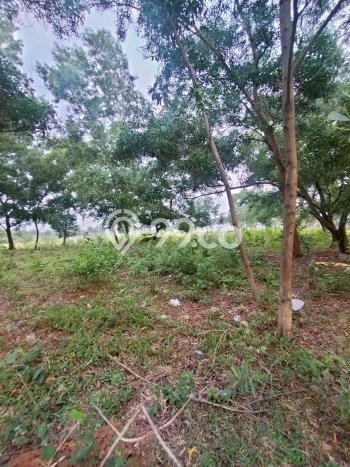 Untuk Dijual Tanah di Bekasi, Luas 2500m2 PPJB Untuk Dijual Tanah di Bekasi, Luas 2500m2 PPJB