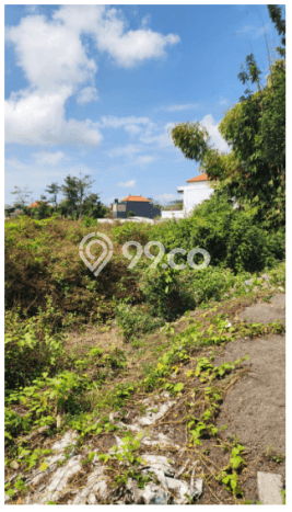 Dijual Tanah Lokasi Ungasan, Badung Seluas 3169m2 Dijual Tanah Lokasi Ungasan, Badung Seluas 3169m2