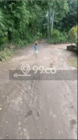 Untuk Dijual Tanah 5000m2 di Singaraja, Buleleng Untuk Dijual Tanah 5000m2 di Singaraja, Buleleng