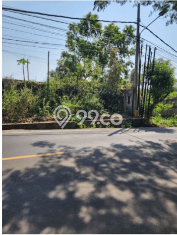 Tanah Investasi Dijual di Badung Punya Luas 2000m2 Tanah Investasi Dijual di Badung Punya Luas 2000m2