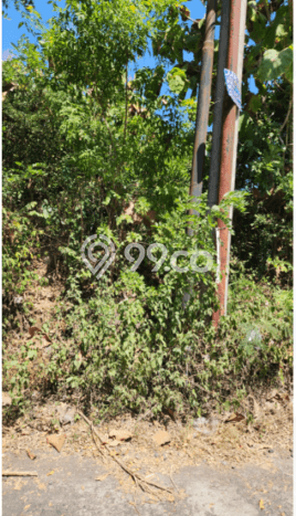 Dijual Tanah 200m2 di Ungasan, Badung Dijual Tanah 200m2 di Ungasan, Badung