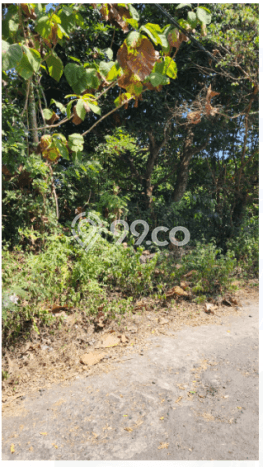 Dijual Tanah 200m2 di Ungasan, Badung Dijual Tanah 200m2 di Ungasan, Badung