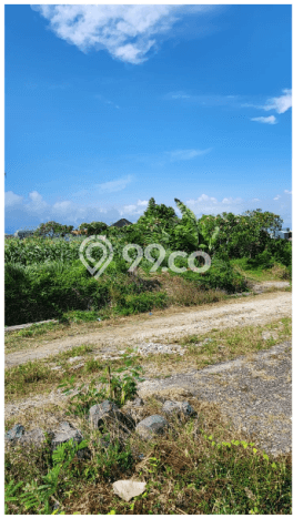 Kavling Tanah untuk Disewa di Sanur Lahan Luas 9000m2 Kavling Tanah untuk Disewa di Sanur Lahan Luas 9000m2