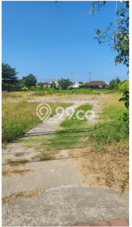 Lahan untuk Disewa di Denpasar Luas 4600m2 Lahan untuk Disewa di Denpasar Luas 4600m2