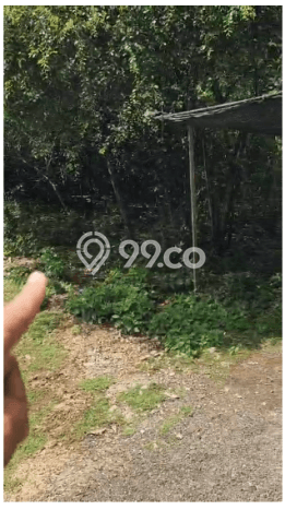 Kavling Tanah untuk Dijual di Jimbaran, Badung, Luas 490m2 Kavling Tanah untuk Dijual di Jimbaran, Badung, Luas 490m2