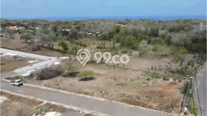Tanah Disewakan Lokasi Badung Seluas 20000m2 Strategis dan Aman Tanah Disewakan Lokasi Badung Seluas 20000m2 Strategis dan Aman