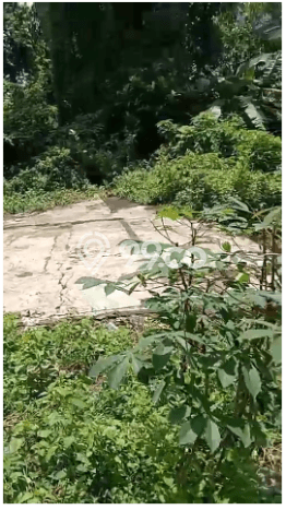 Kavling Tanah untuk Dijual di Jimbaran, Badung, Luas 295m2 Kavling Tanah untuk Dijual di Jimbaran, Badung, Luas 295m2