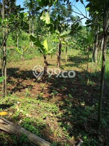 Kavling Tanah Dijual di Kutawaringin, Bandung, Luas 3870m2 Area Strategis Kavling Tanah Dijual di Kutawaringin, Bandung, Luas 3870m2 Area Strategis