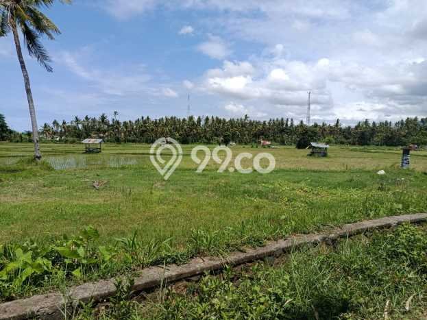 Untuk Dijual Tanah di Buleleng, Luas 3800m2 SHM Untuk Dijual Tanah di Buleleng, Luas 3800m2 SHM