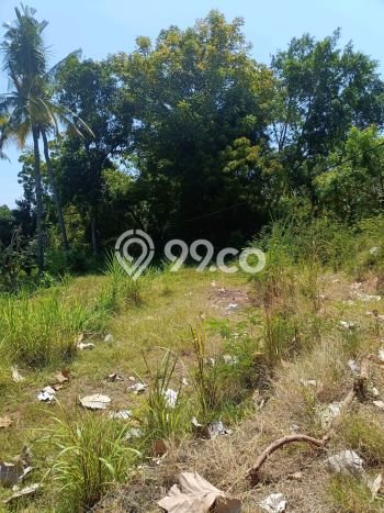 Tanah Investasi Dijual di Buleleng Punya Luas 2000m2 Tanah Investasi Dijual di Buleleng Punya Luas 2000m2