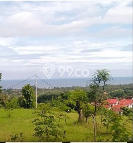 Tanah Kavling Dijual di Buleleng dengan Spesifikasi 5000m2 Tanah Kavling Dijual di Buleleng dengan Spesifikasi 5000m2
