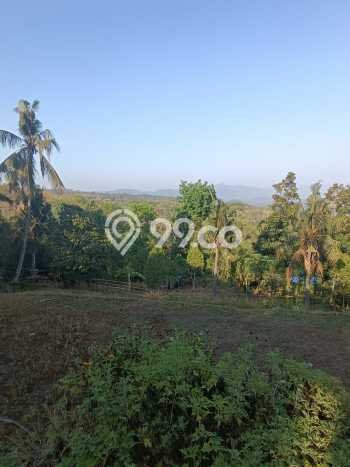Lahan Dijual Lokasi Strategis di Buleleng dengan Luas 940m2 Lahan Dijual Lokasi Strategis di Buleleng dengan Luas 940m2