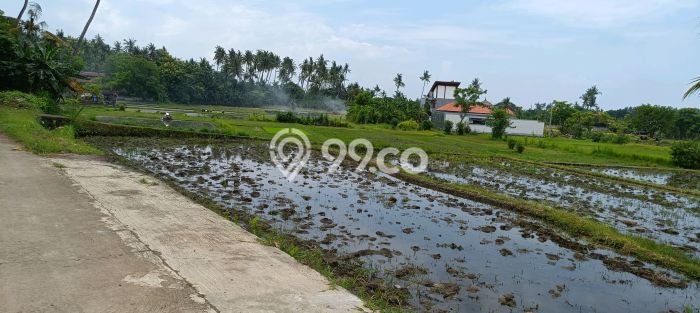 Untuk Dijual Tanah 1900m2 di Anturan, Buleleng Untuk Dijual Tanah 1900m2 di Anturan, Buleleng