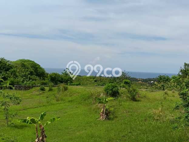 Kavling Tanah Dijual di Buleleng, Buleleng, Luas 1000m2 Area Strategis Kavling Tanah Dijual di Buleleng, Buleleng, Luas 1000m2 Area Strategis