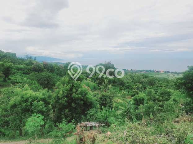 Untuk Dijual Tanah di Buleleng, Luas 1210m2 SHM Untuk Dijual Tanah di Buleleng, Luas 1210m2 SHM