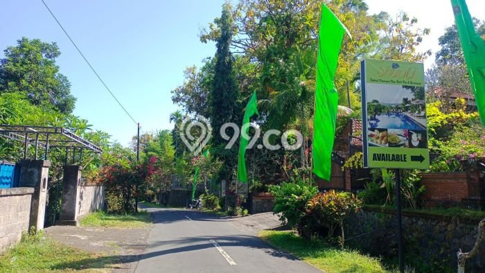 Tanah Dijual di Buleleng Seluas 2000m2 Strategis Tanah Dijual di Buleleng Seluas 2000m2 Strategis