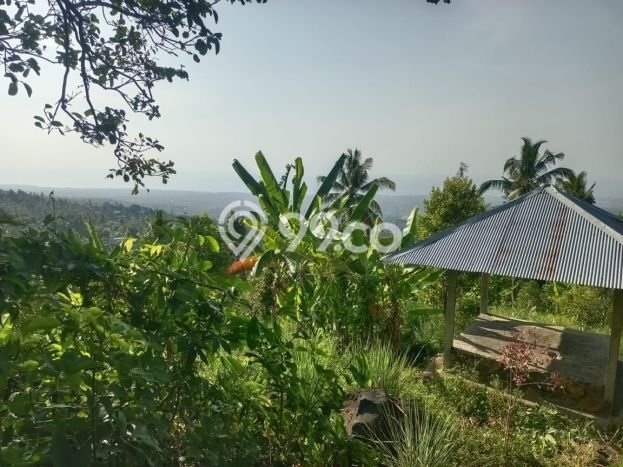 Dijual Tanah 4300m2 di Panji, Buleleng Dijual Tanah 4300m2 di Panji, Buleleng