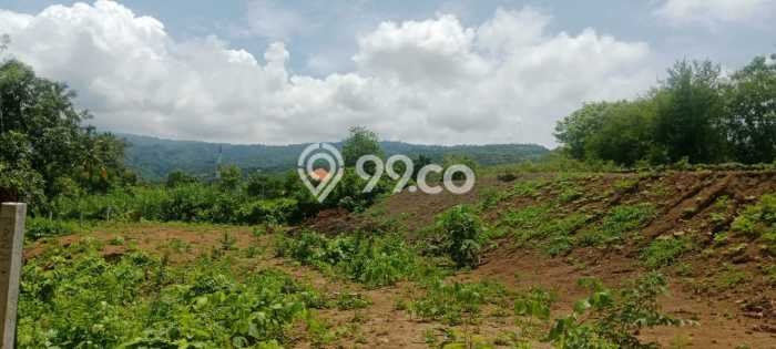 Tanah Dijual di Buleleng Seluas 930m2 Strategis Tanah Dijual di Buleleng Seluas 930m2 Strategis