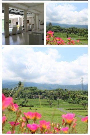 DIJUAL! Vila Kawasan , Area 1200m2m², Posisi Premium DIJUAL! Vila Kawasan , Area 1200m2m², Posisi Premium